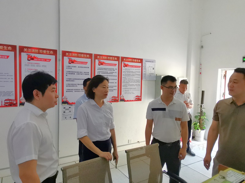 4、集團黨委委員、紀委書記、監察專員陳國秀到茂名高新科技產業園督導檢查.jpg